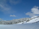 冬景色2002